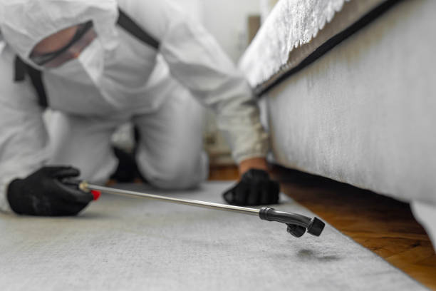 Professional Termite Control technician working in Clearview, WA